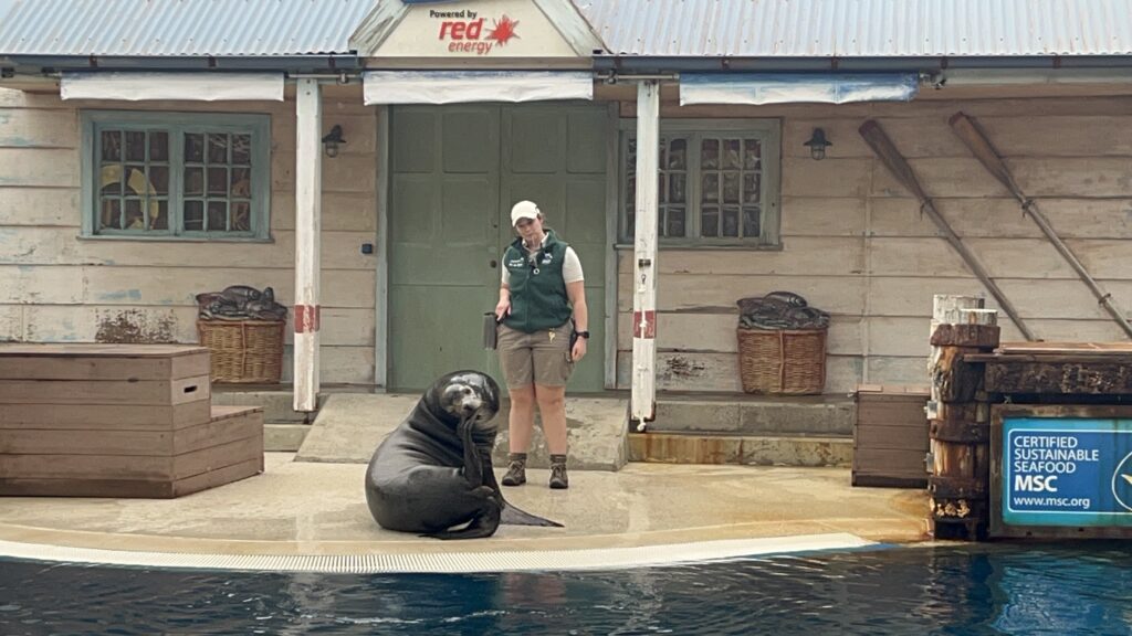 雪梨Taronga